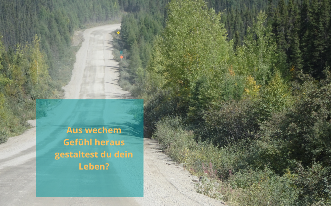 Aus welchem Gefühl gestaltest du dein Leben?